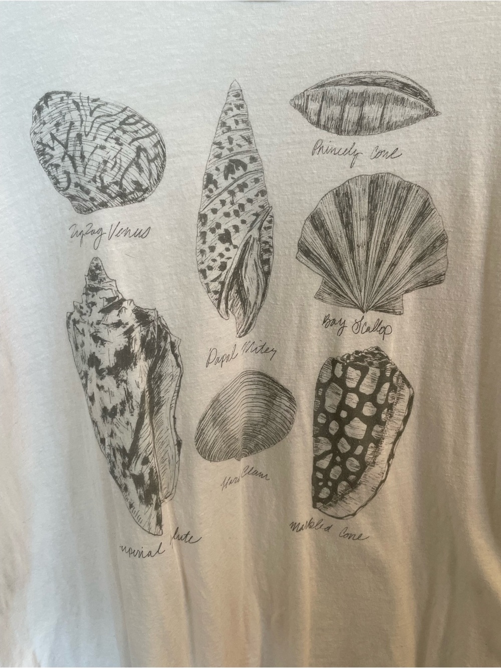 American eagle tshirt - Picture 2 of 4